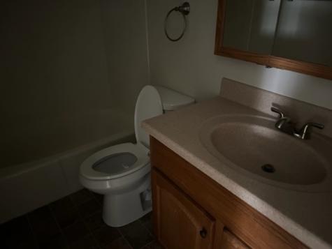 327 Cedar Glen Drive Avon IN 46123