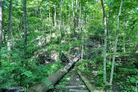 8585 Crown Point Road Indianapolis IN 46278